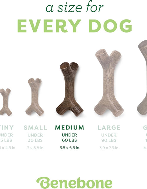 Load image into Gallery viewer, Maplestick Durable Dog Chew Toy for Aggressive Chewers, Real Maplewood, Made in USA, Medium
