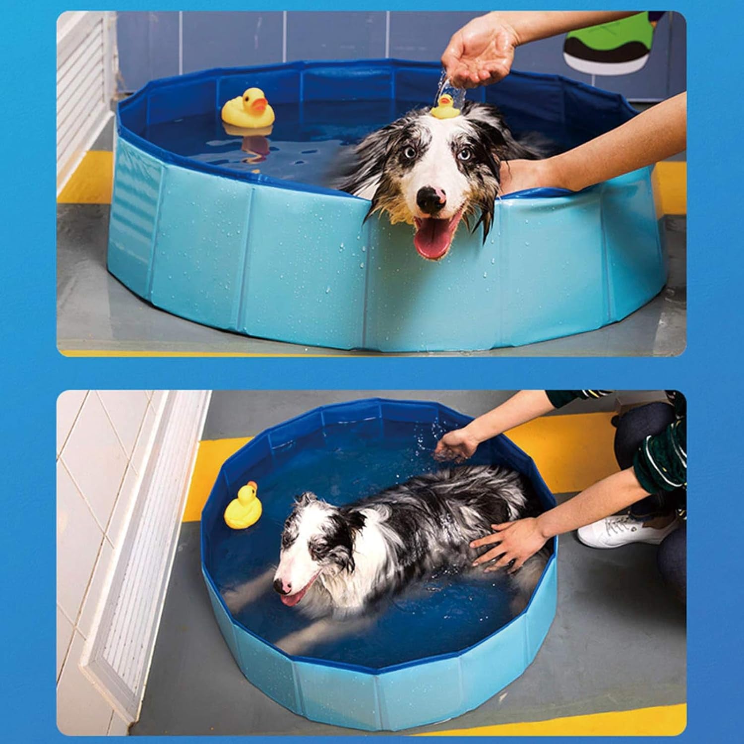 Dog Pool Foldable Pet Outdoor Swimming Pool Collapsible Anti-Slip Hard PVC Pet Paddling Bathtub for Large and Xtra Large Dogs, Kids, Pets