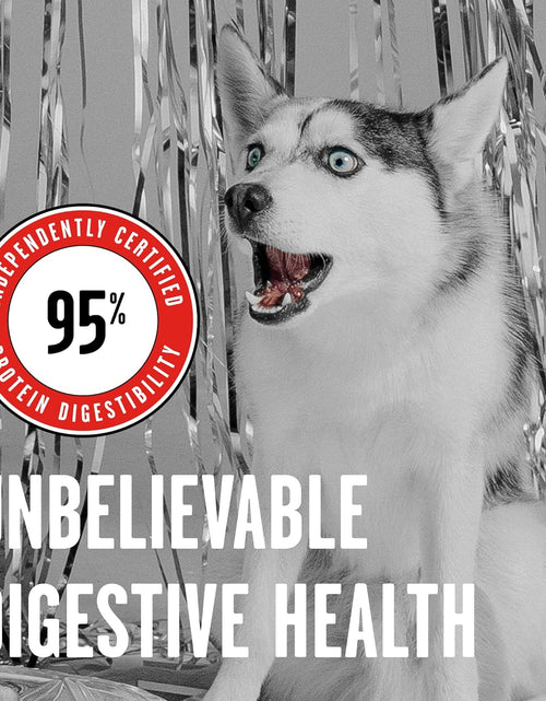Load image into Gallery viewer, Rawbble Freeze Dried Dog Food | 7 Flavor Options | 3 Size Options
